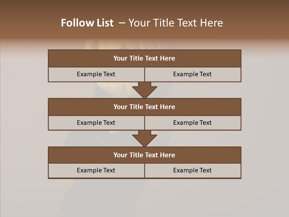 Laces Boudoir Face PowerPoint Template