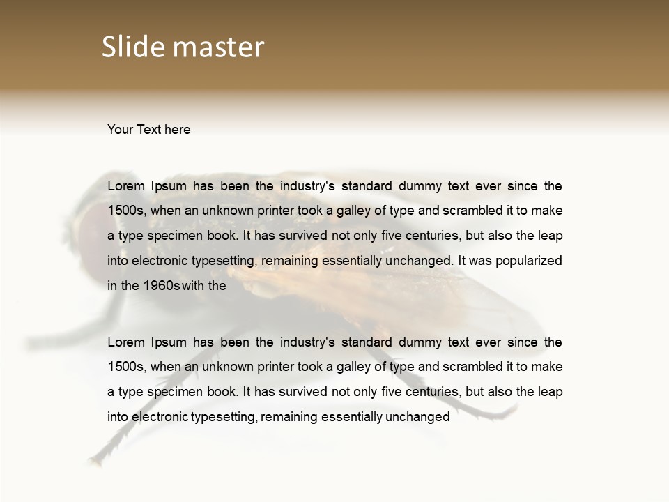 Pest Housefly Legs PowerPoint Template