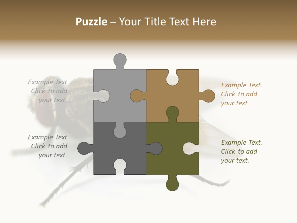 Pest Housefly Legs PowerPoint Template