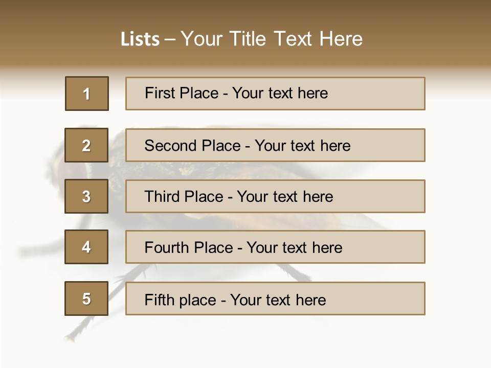 Pest Housefly Legs PowerPoint Template