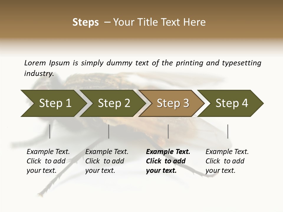 Pest Housefly Legs PowerPoint Template
