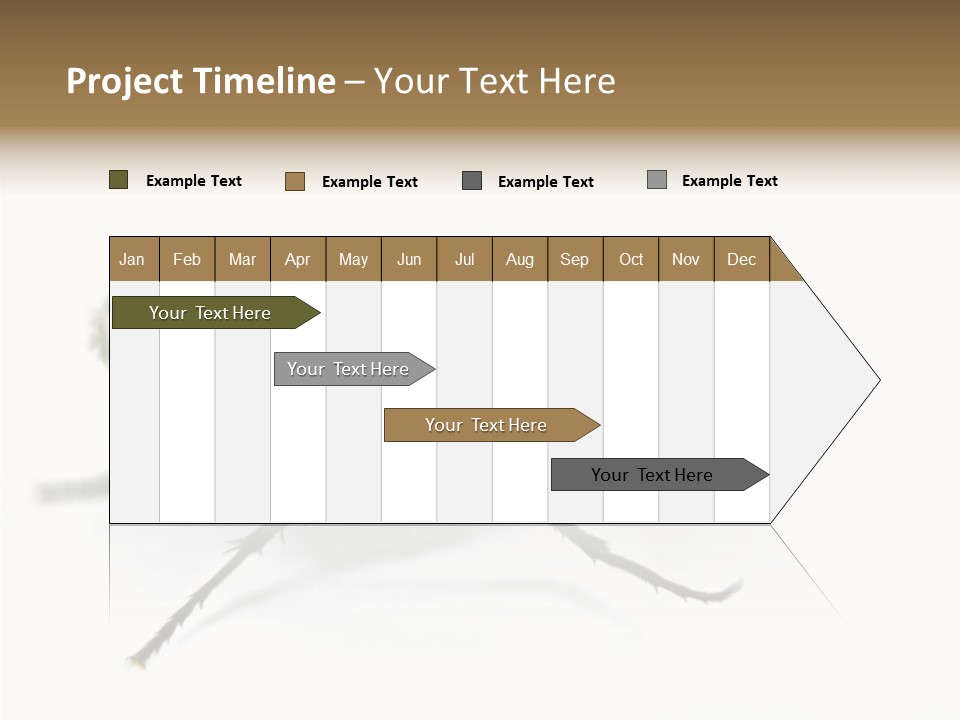 Pest Housefly Legs PowerPoint Template