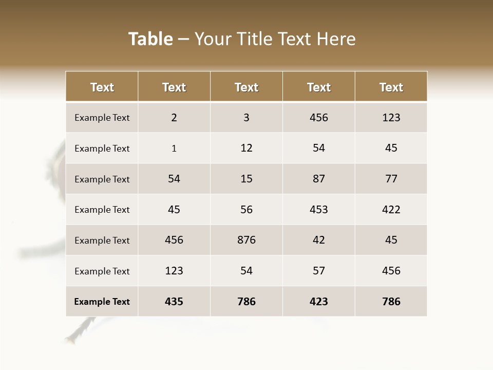 Pest Housefly Legs PowerPoint Template