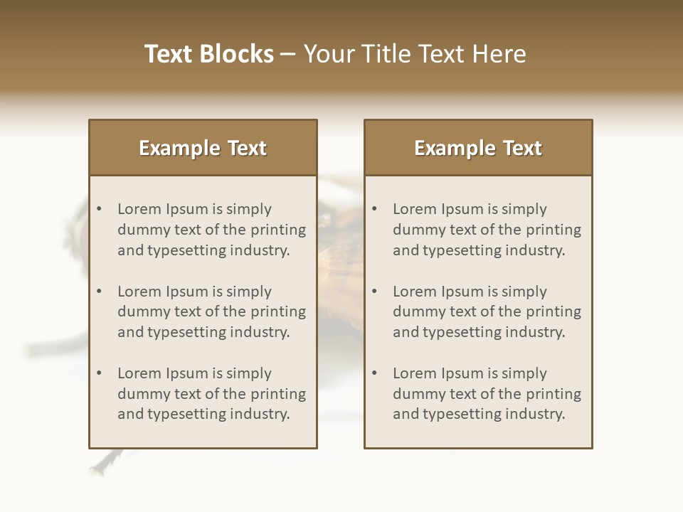 Pest Housefly Legs PowerPoint Template