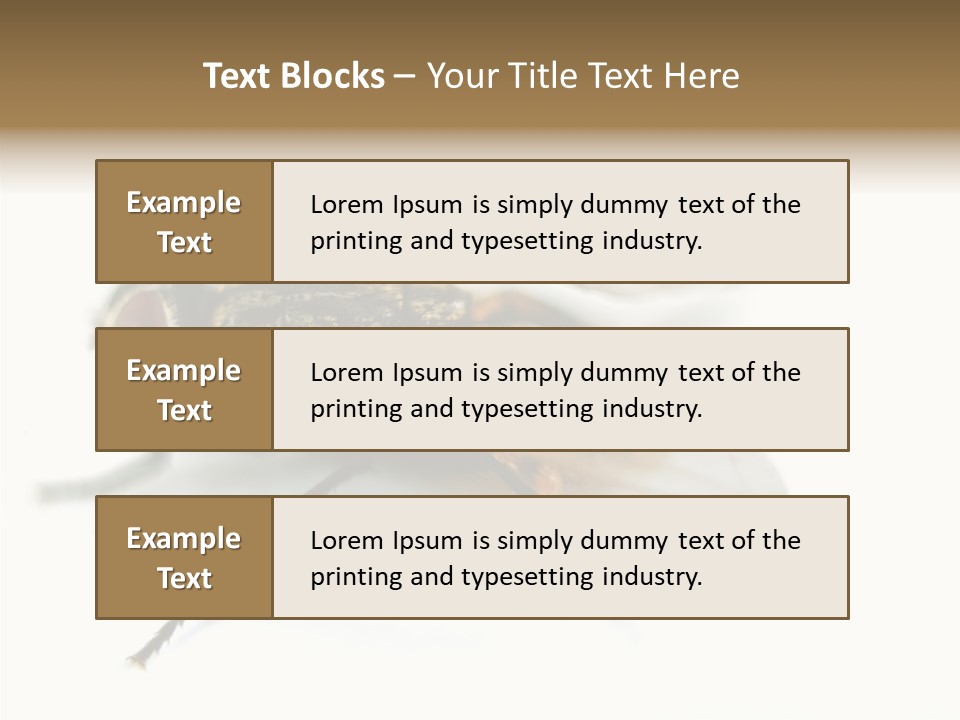 Pest Housefly Legs PowerPoint Template