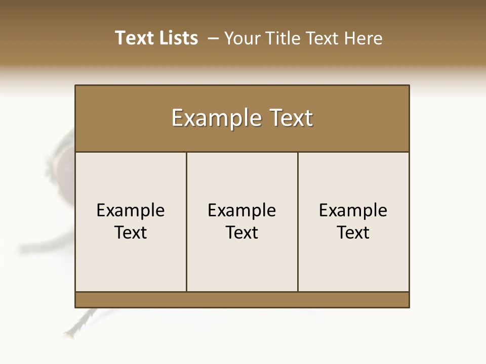 Pest Housefly Legs PowerPoint Template