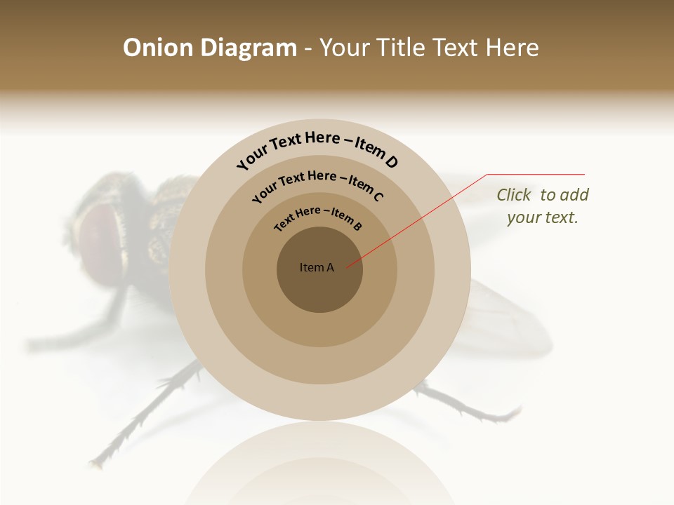 Pest Housefly Legs PowerPoint Template