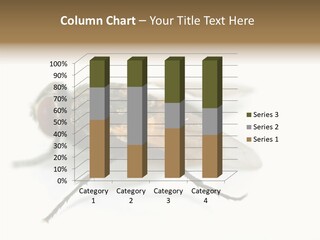 Pest Housefly Legs PowerPoint Template