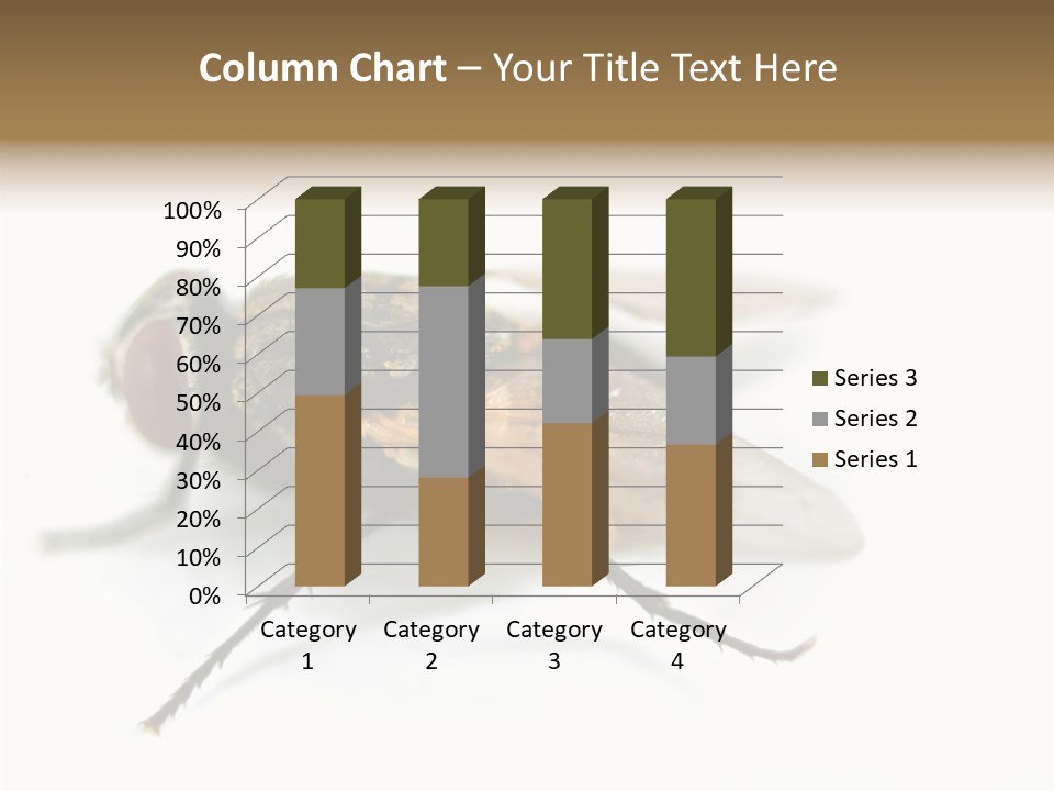 Pest Housefly Legs PowerPoint Template