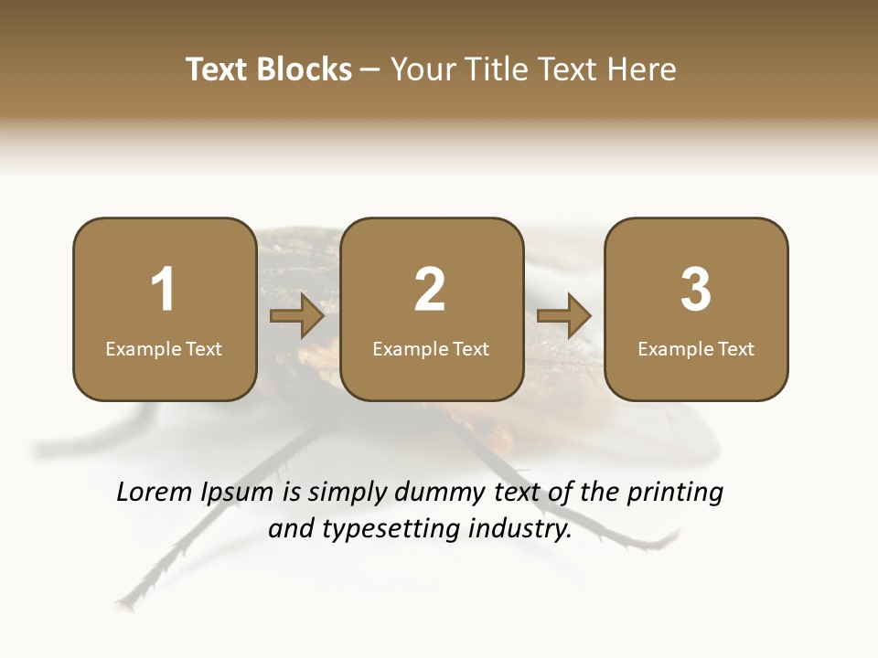 Pest Housefly Legs PowerPoint Template