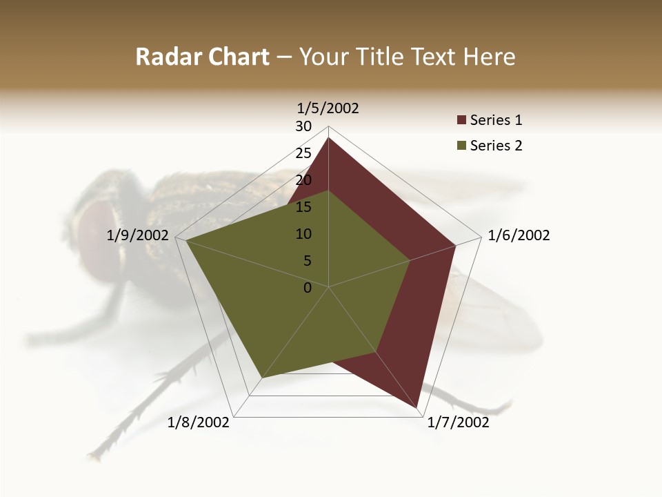 Pest Housefly Legs PowerPoint Template