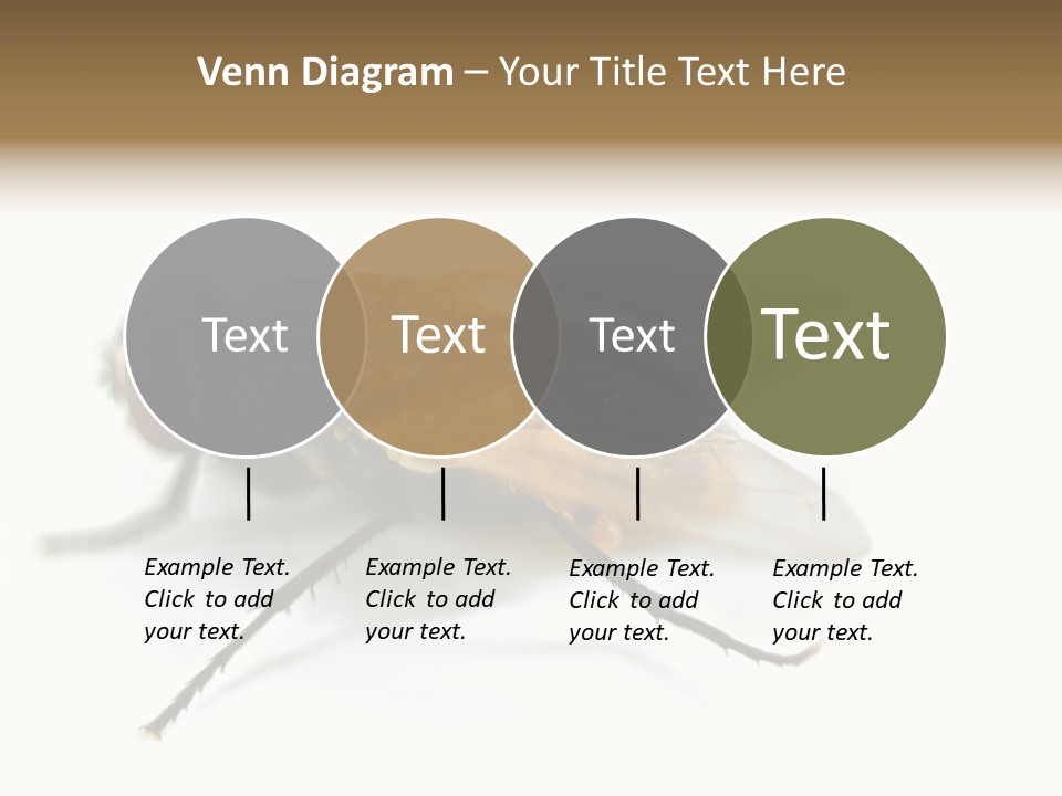 Pest Housefly Legs PowerPoint Template
