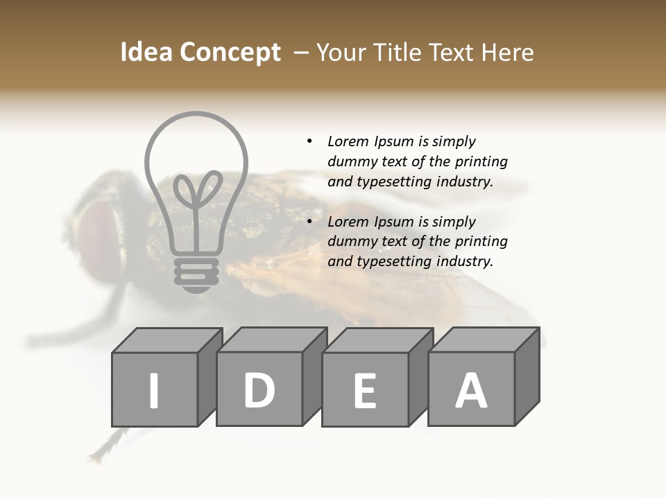 Pest Housefly Legs PowerPoint Template