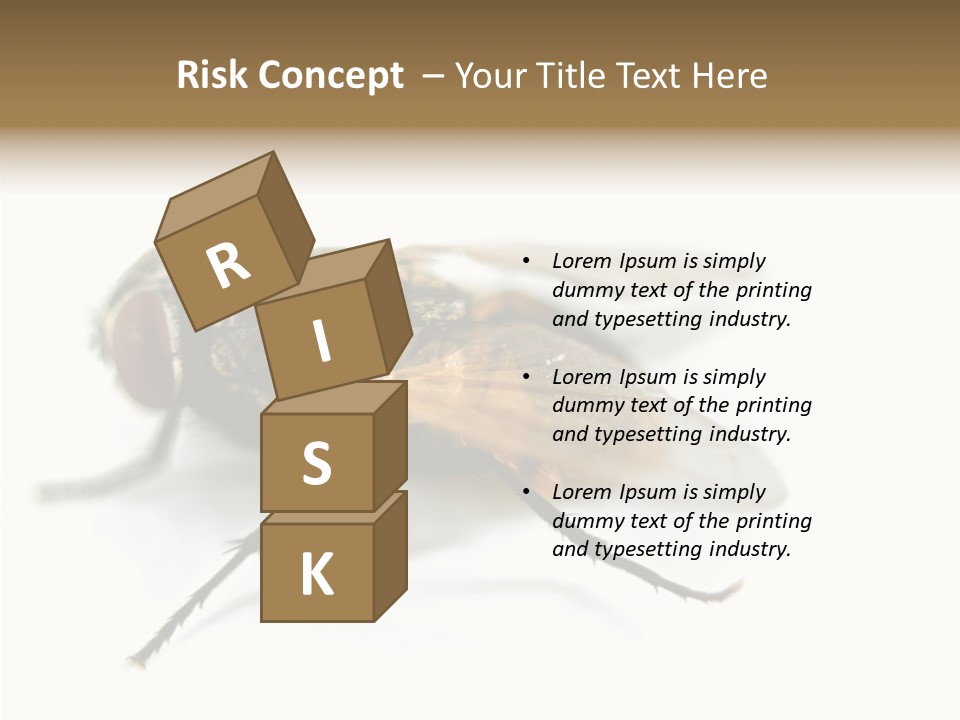 Pest Housefly Legs PowerPoint Template