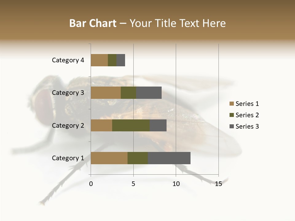 Pest Housefly Legs PowerPoint Template