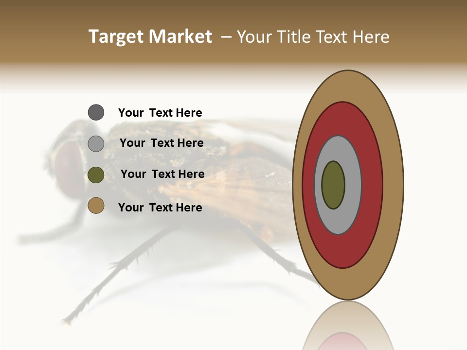 Pest Housefly Legs PowerPoint Template