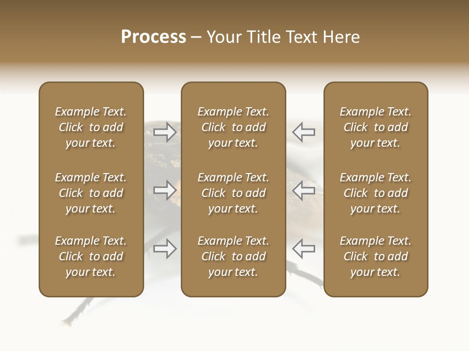 Pest Housefly Legs PowerPoint Template