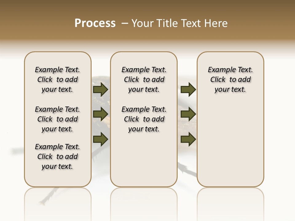 Pest Housefly Legs PowerPoint Template