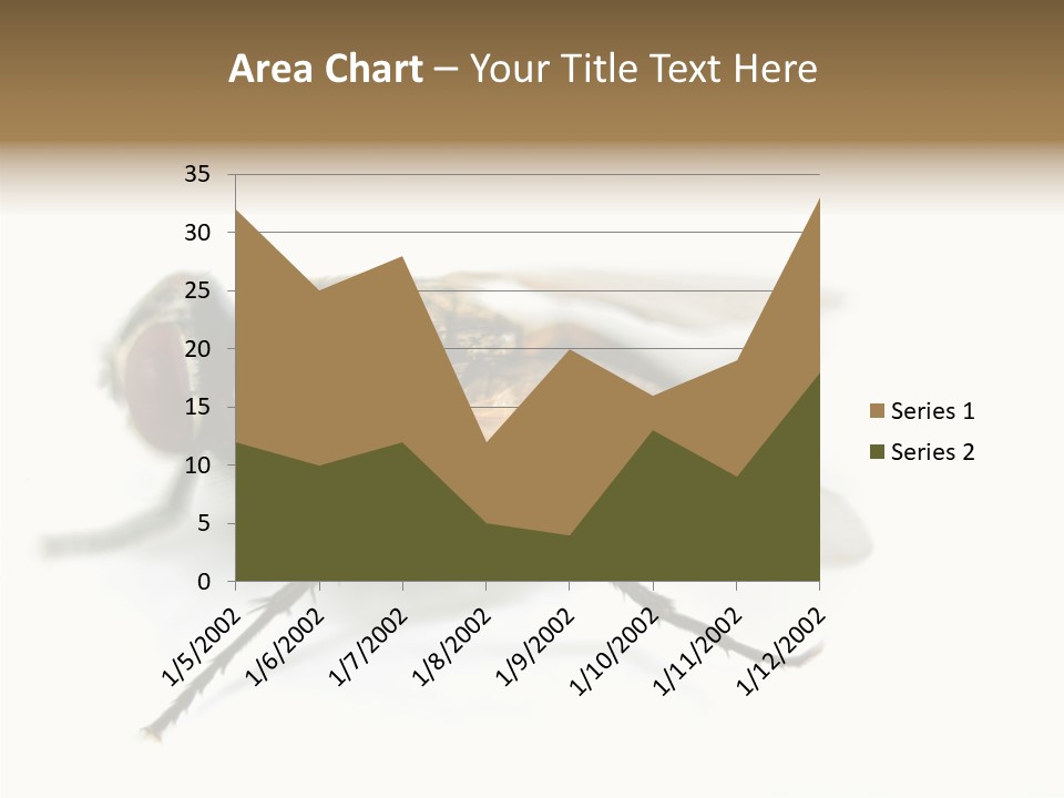 Pest Housefly Legs PowerPoint Template