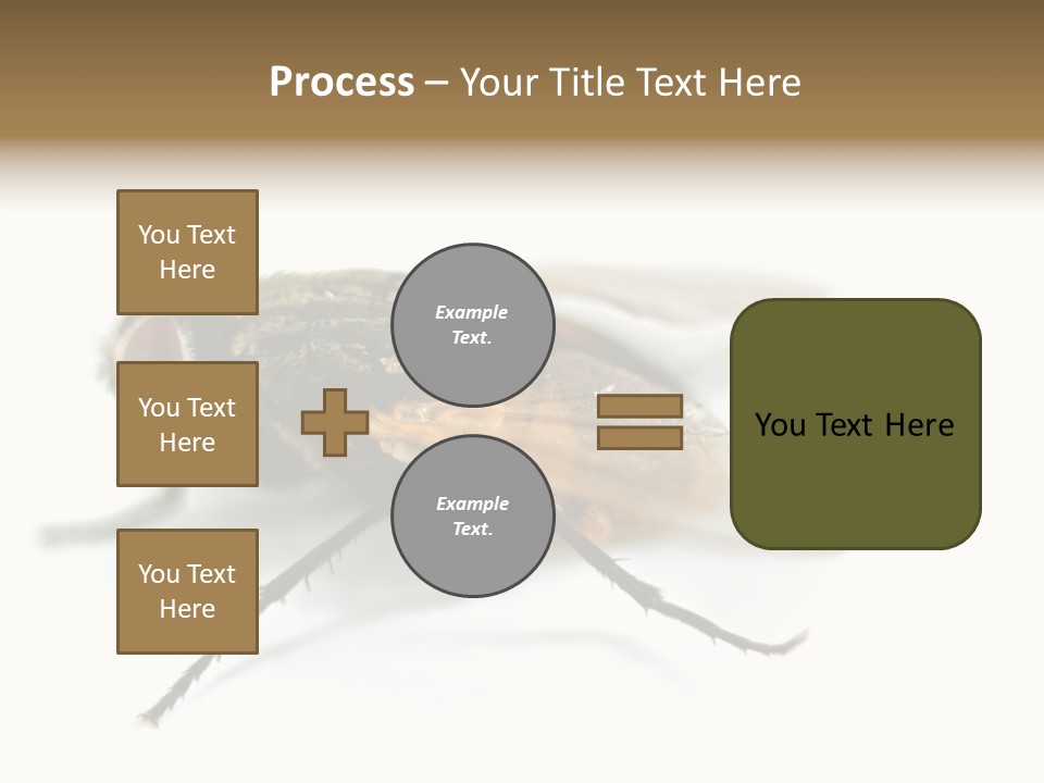 Pest Housefly Legs PowerPoint Template