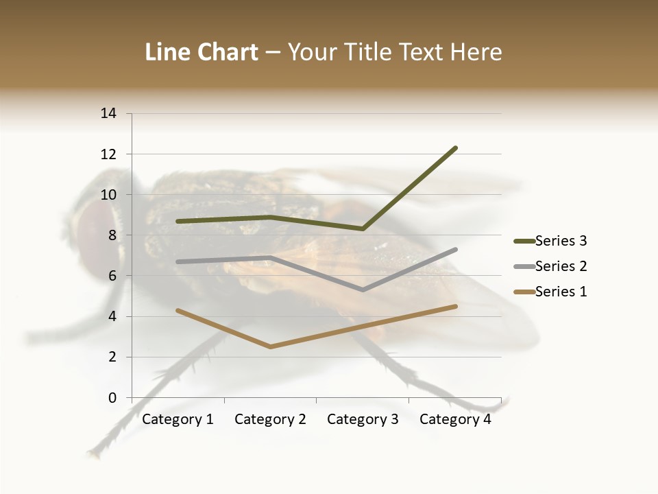 Pest Housefly Legs PowerPoint Template