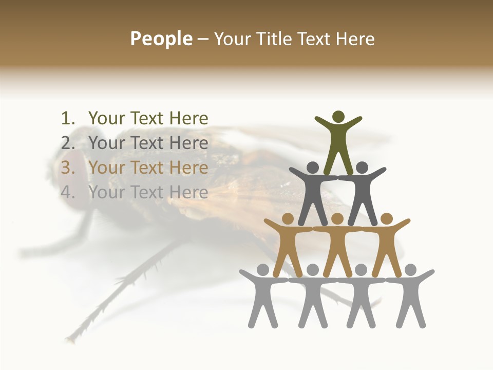 Pest Housefly Legs PowerPoint Template