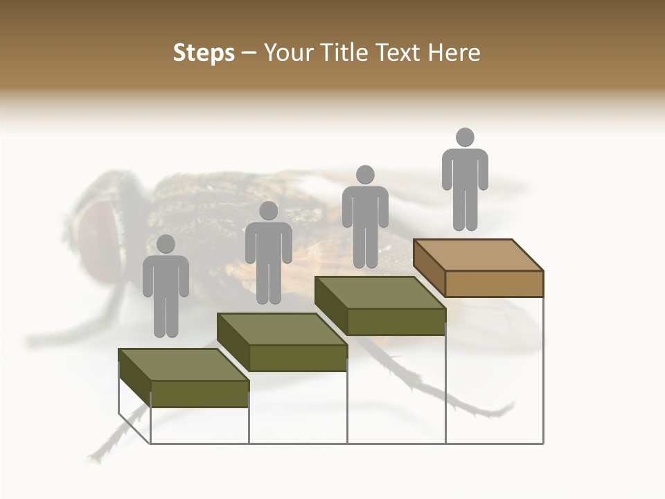 Pest Housefly Legs PowerPoint Template