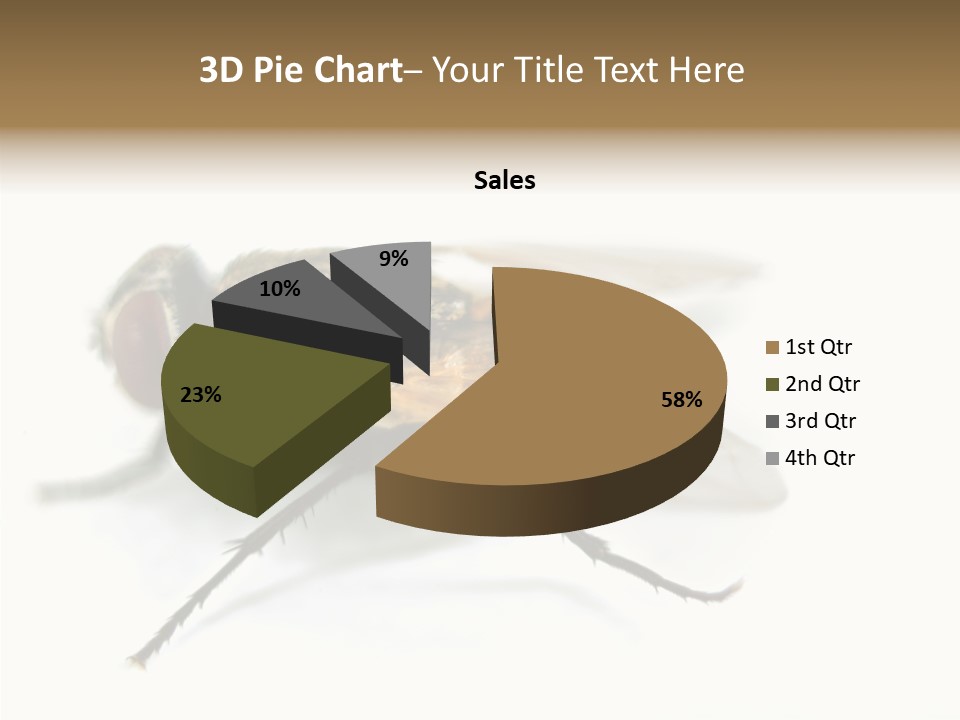 Pest Housefly Legs PowerPoint Template