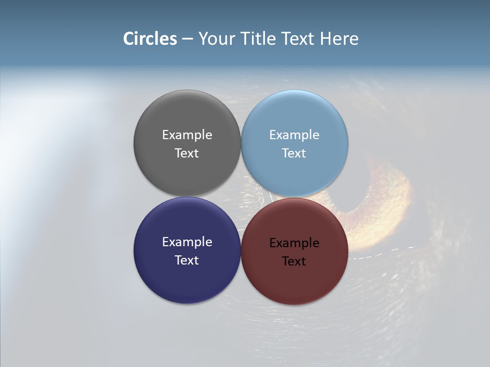 Peek Face Wildlife PowerPoint Template