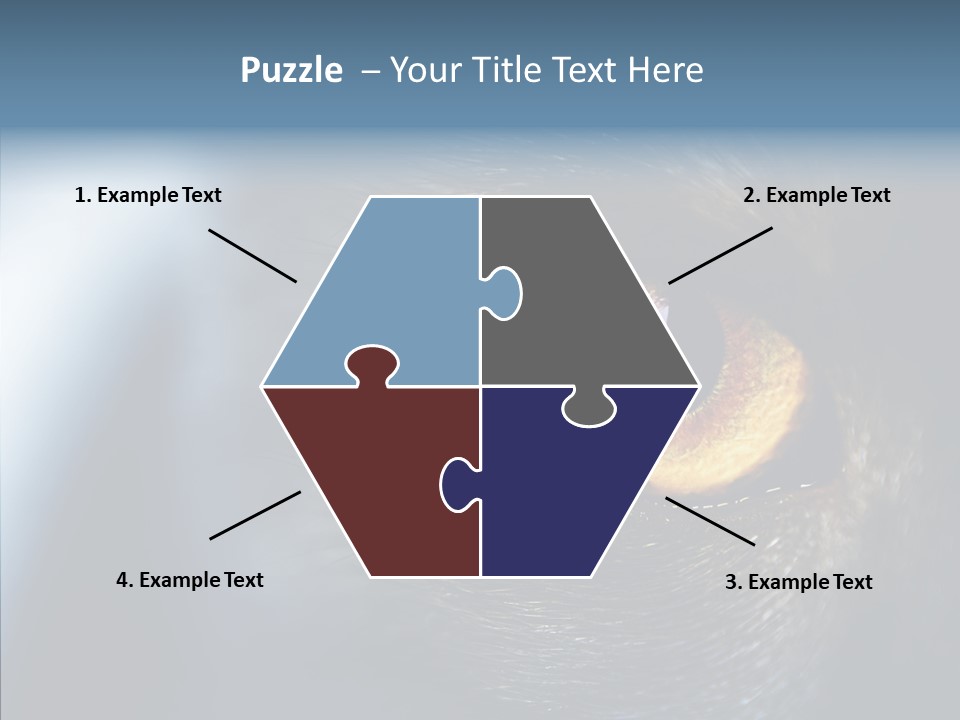 Peek Face Wildlife PowerPoint Template