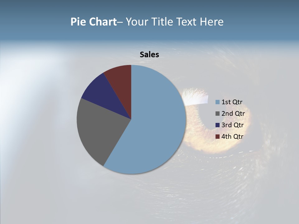 Peek Face Wildlife PowerPoint Template