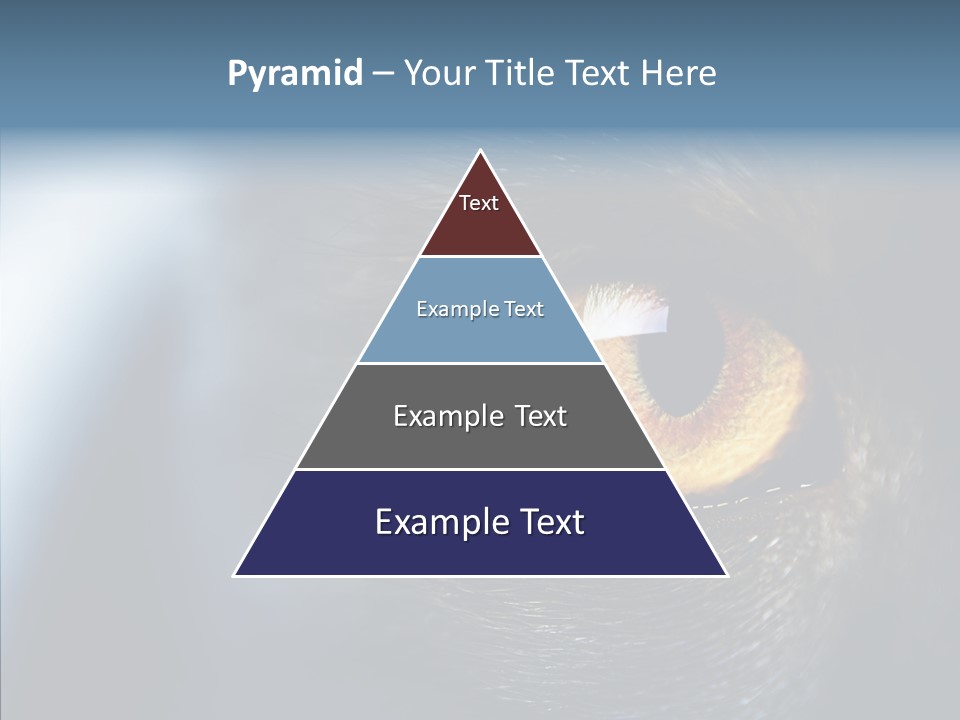 Peek Face Wildlife PowerPoint Template