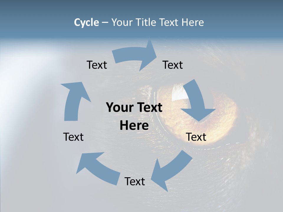 Peek Face Wildlife PowerPoint Template