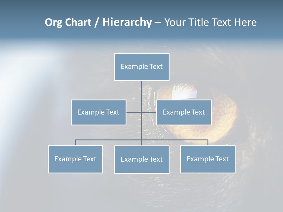 Peek Face Wildlife PowerPoint Template