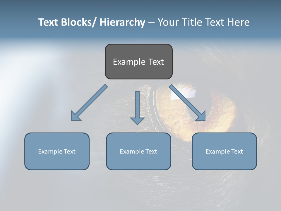 Peek Face Wildlife PowerPoint Template