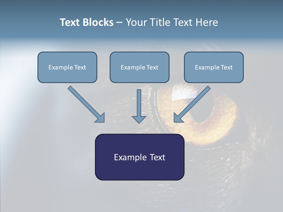 Peek Face Wildlife PowerPoint Template