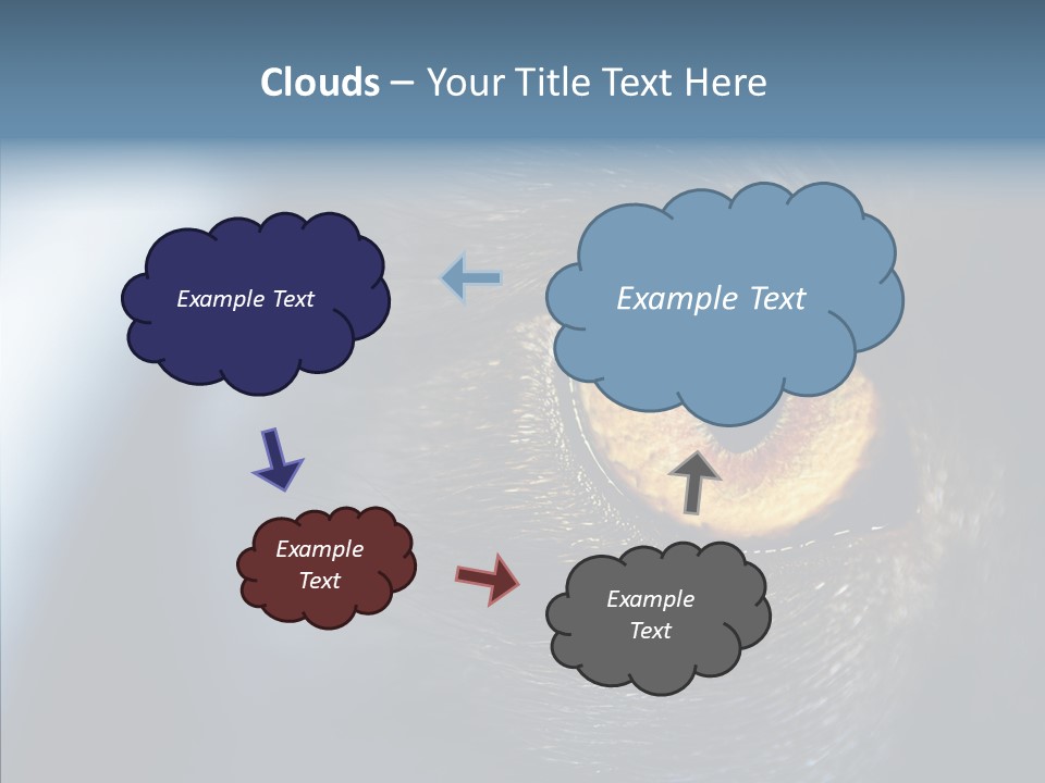 Peek Face Wildlife PowerPoint Template