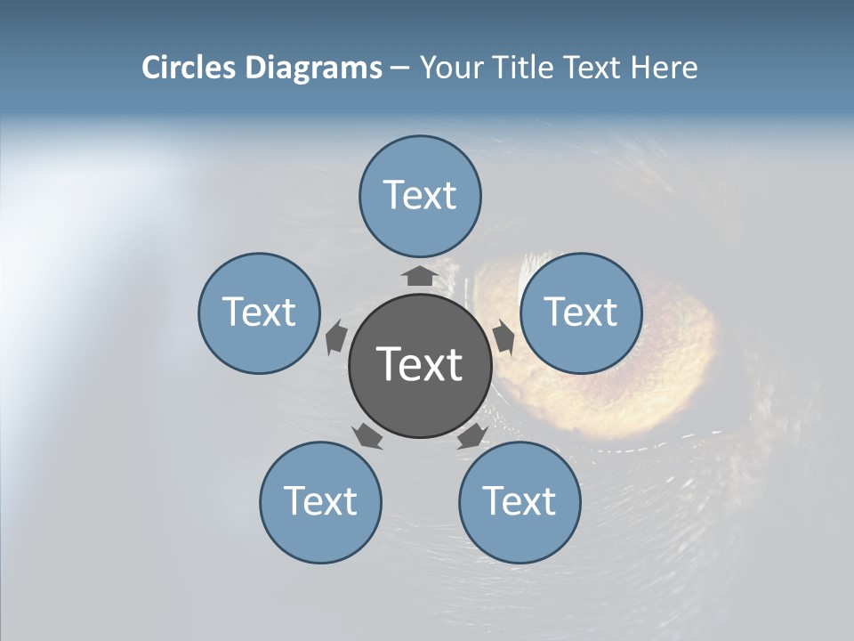 Peek Face Wildlife PowerPoint Template