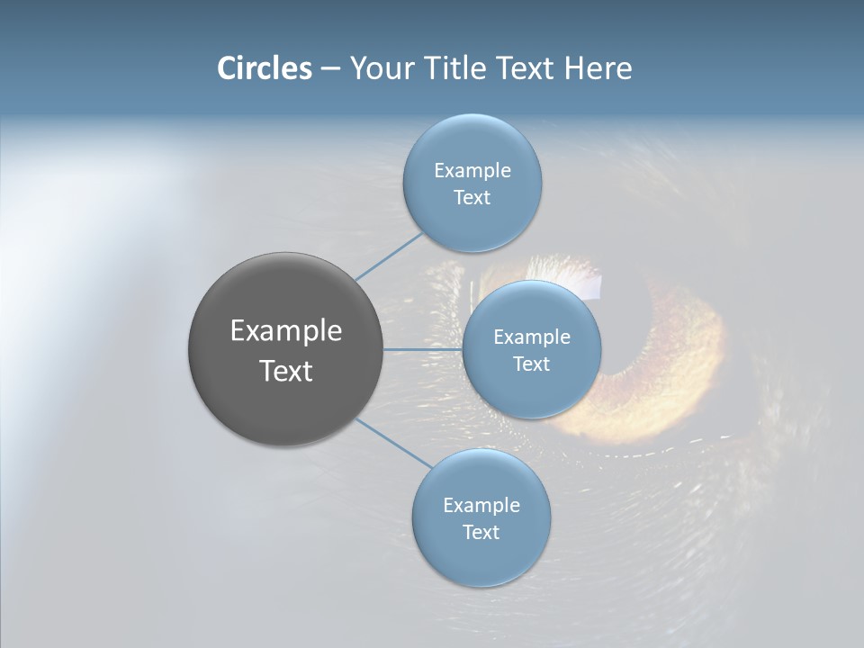 Peek Face Wildlife PowerPoint Template