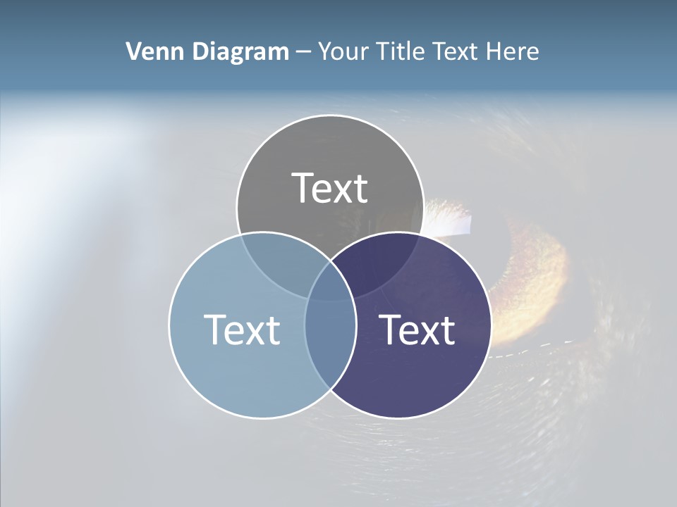 Peek Face Wildlife PowerPoint Template