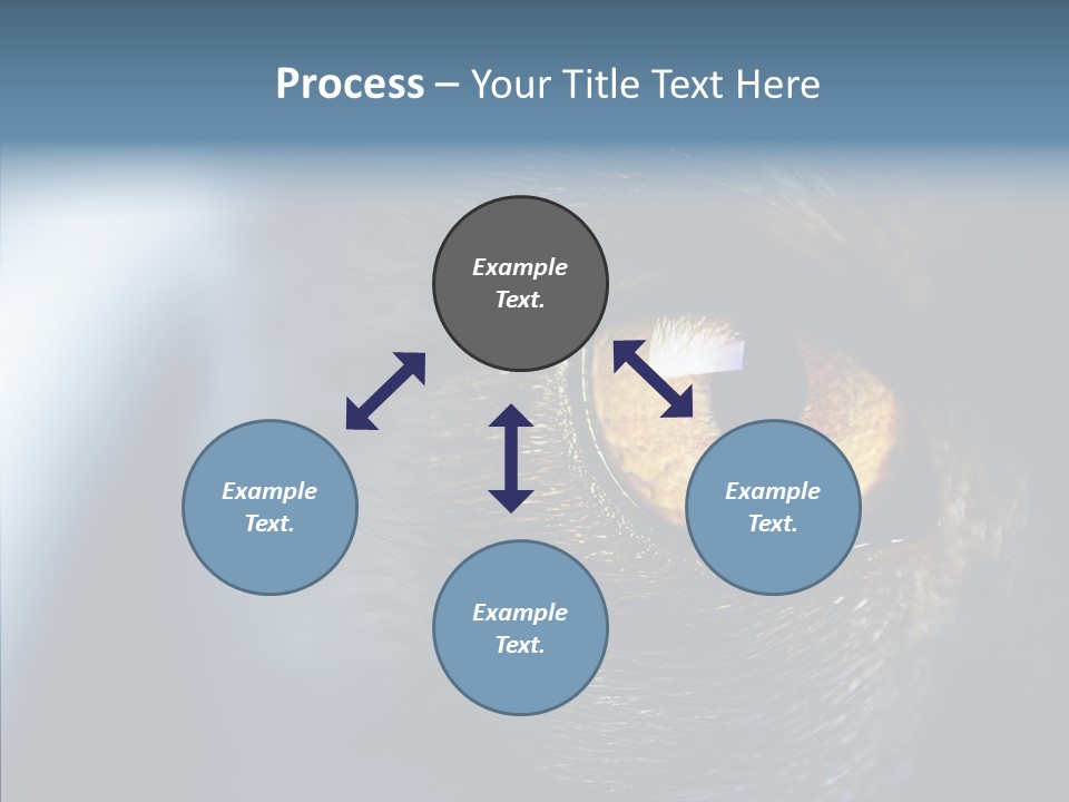 Peek Face Wildlife PowerPoint Template