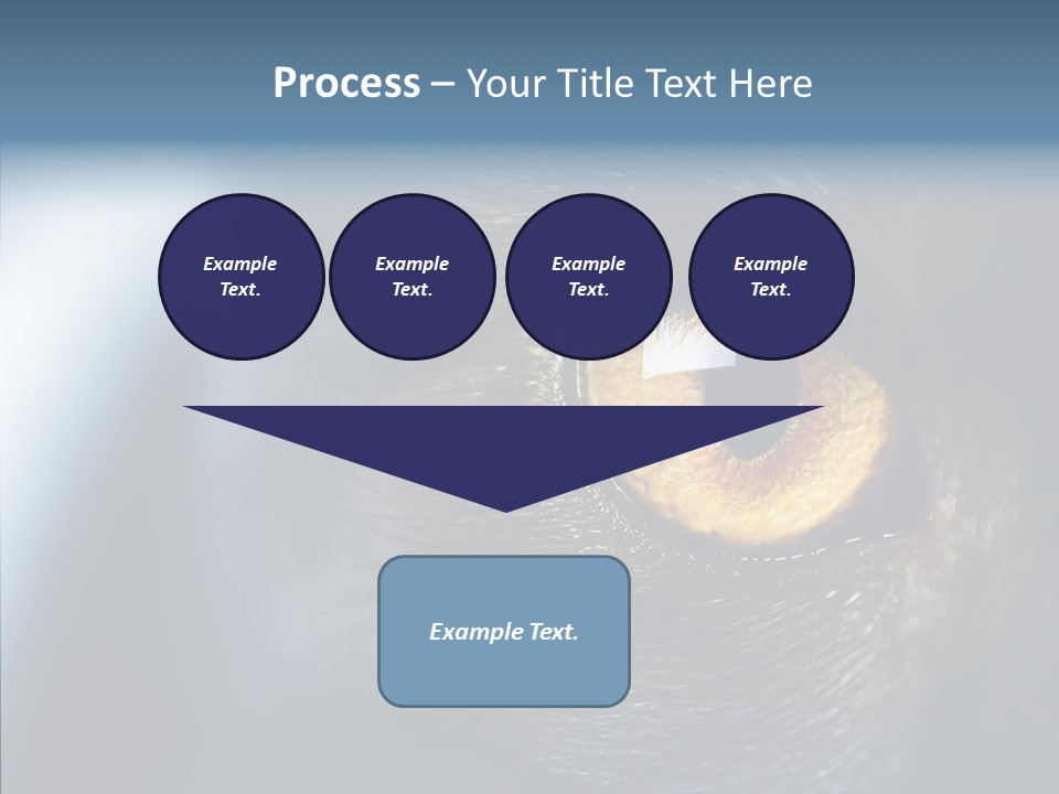 Peek Face Wildlife PowerPoint Template