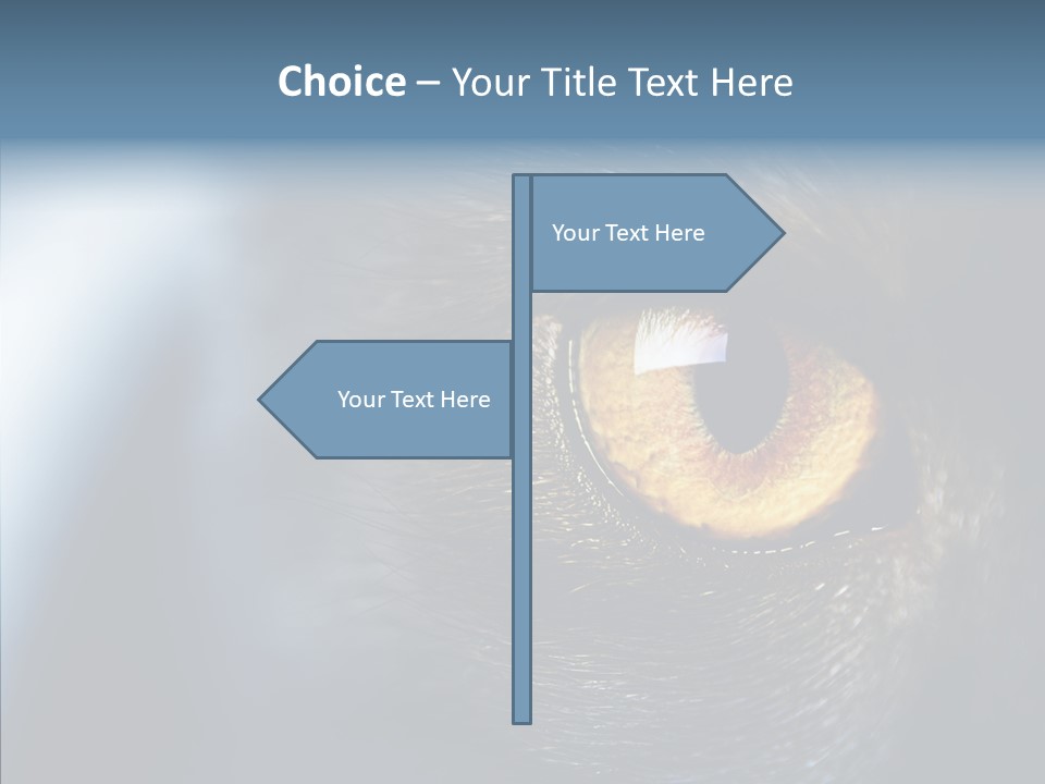 Peek Face Wildlife PowerPoint Template