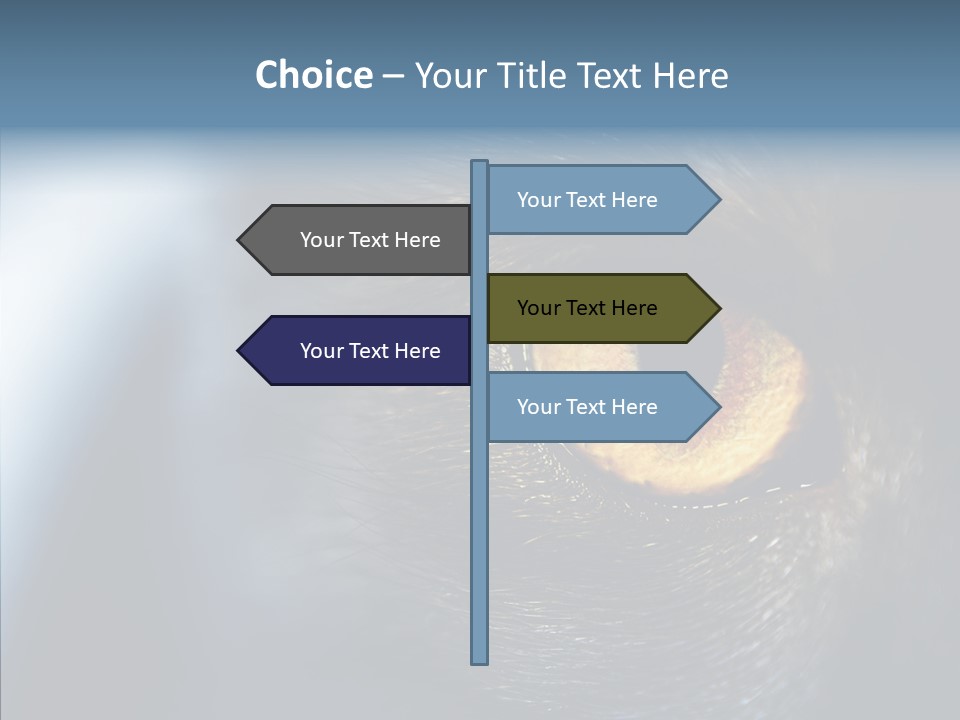 Peek Face Wildlife PowerPoint Template