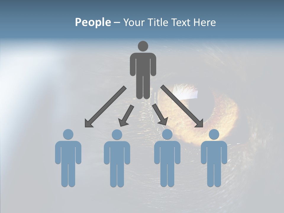 Peek Face Wildlife PowerPoint Template