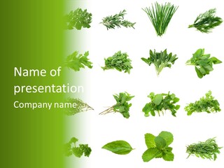 Basil Cilantro Lovage PowerPoint Template