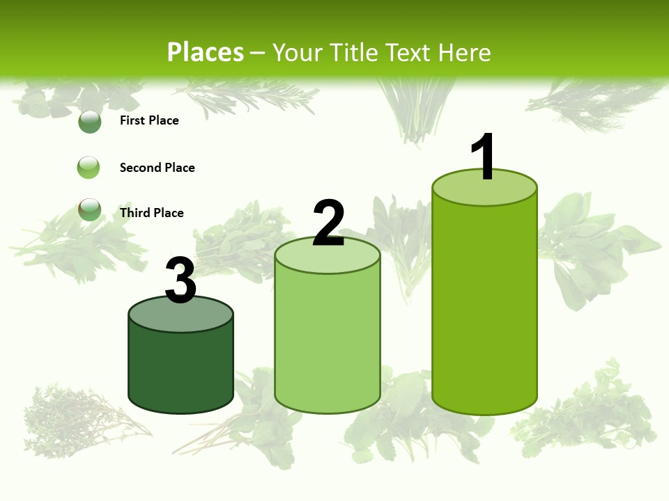 Basil Cilantro Lovage PowerPoint Template