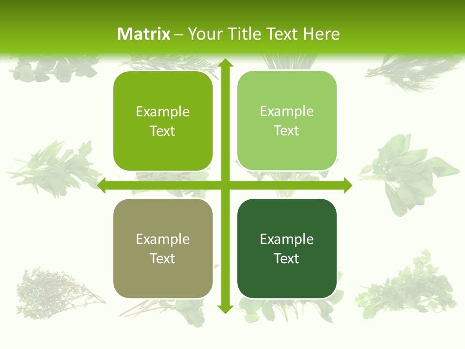 Basil Cilantro Lovage PowerPoint Template