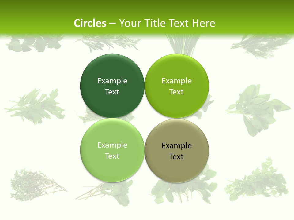 Basil Cilantro Lovage PowerPoint Template
