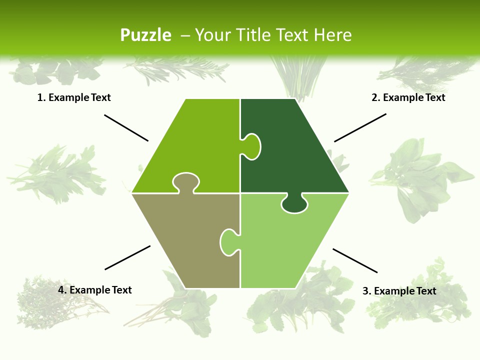 Basil Cilantro Lovage PowerPoint Template